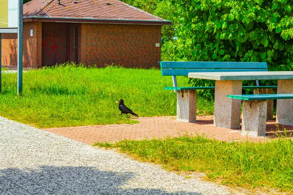 德国下萨克森州自然绿松石公园长椅休息站 — 图库照片
