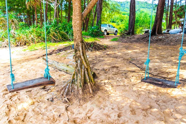 Swing on tree at the Nai Thon Naithon Beach bay and landscape panorama a beautiful dream beach with turquoise clear water and waves in Sakhu Thalang on Phuket island Thailand.