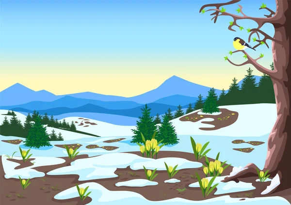Весенний Пейзаж Горами Лесом Полянами Таящим Снегом Желтыми Крокусами Красивая — стоковый вектор