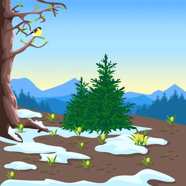 Весенний Пейзаж Горами Лесом Полянами Таящим Снегом Желтыми Крокусами Красивая — стоковый вектор