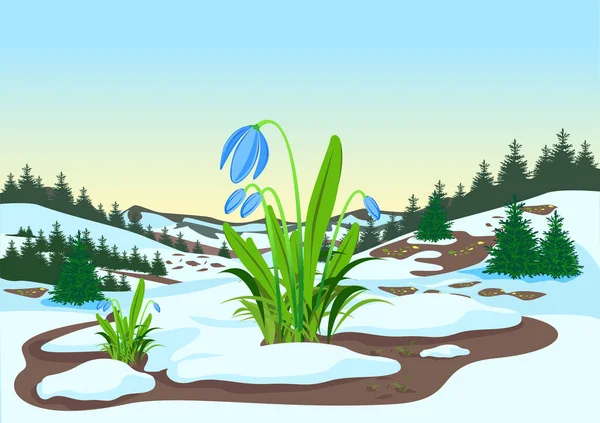 Jarní Krajina Lesy Loukami Tavícím Sněhem Sněhovými Vločkami Krásné Jarní — Stockový vektor