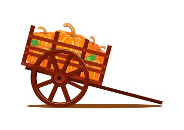 Happy Thanksgiving. Pumpkin harvest in an old wooden wheelbarrow. Vector illustration isolated on white background for poster or flyer.