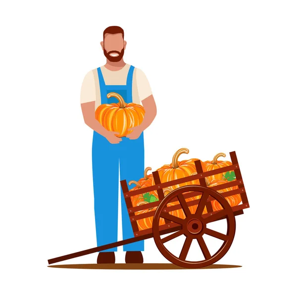 Man Harvests Pumpkins Old Wooden Wheelbarrow Vector Illustration Isolated White — Vector de stock