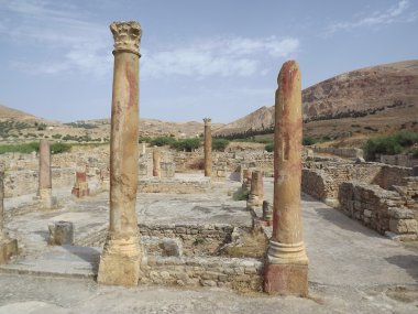 Roma kentinin bulla regia