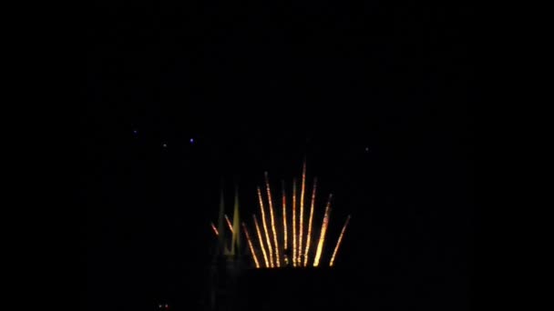Szilveszteri tűzijáték — Stock videók