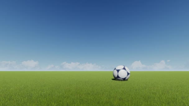 Beau ballon de football sur herbe verte pour concept de jeu — Video