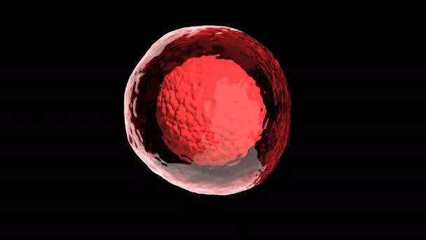 细胞内科保健生物学概念能够无缝隙循环 — 图库视频影像