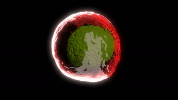 Kırmızı bakteri küresi Tıbbi bilimsel konsept mikro biyoloji yapısı kusursuz döngü yapabilir — Stok video