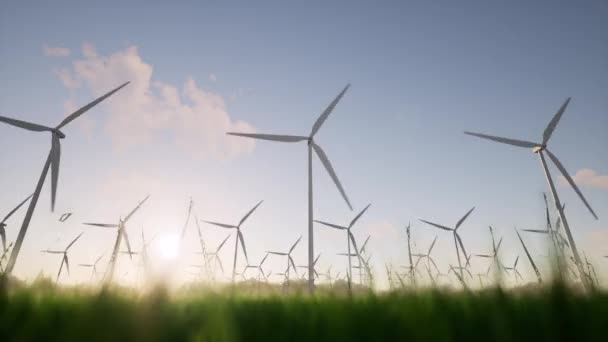 풍력 발전기 잔디 새벽 전기 농장 기술 개발 windfarm economy 개념 — 비디오