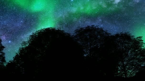 Aurora Luces boreales árboles de fondo Planeta verde bosque invierno paisaje — Vídeo de stock