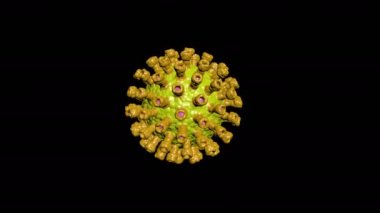 3 boyutlu salgın hastalıklı mutasyon virüsü tıp bilimi Coronavirus aşısı