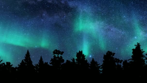 Північні сяйва Аврори мандрують зимовими лісовими ландшафтами зоряного неба. — стокове відео