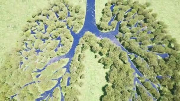 Pulmones forestales Medio ambiente Naturaleza Tierra Salvar tierra planeta verde — Vídeo de stock