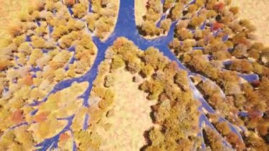 Lung forest planet Autumn trees beauty Save earth green planet. Environment nature Sunlight sky