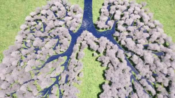 Лунж ліс Навколишнє середовище природа земля зелена планета Сільський пейзаж ферма — стокове відео