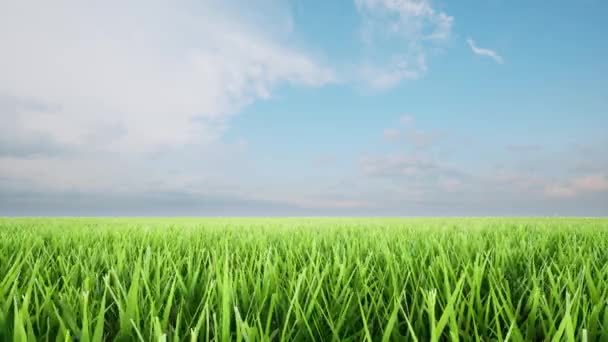 Zielony krajobraz trawa Ziemia dzień Lato natura światło zachmurzone niebo — Wideo stockowe