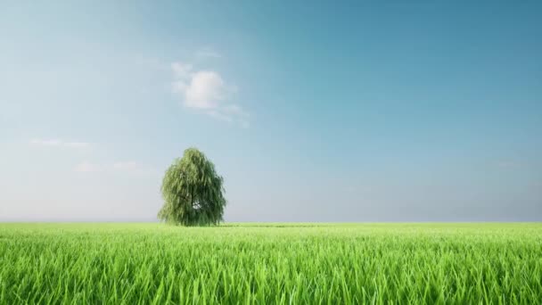 Boom groeien groen gras veld landschap eco concept natuur milieu — Stockvideo