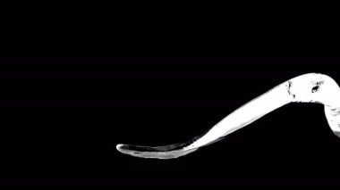 Su püskürtme akışını temizle süper yavaş çekim 1000 FPS