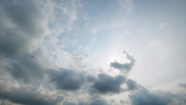 Birds Summer Sky Aerial Blue Sky White Clouds — 图库视频影像