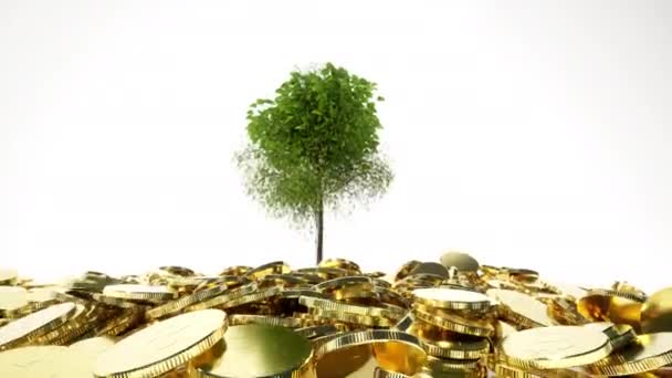 Raise Grow Tree Gold Coins Awesome Style White Background — ストック動画