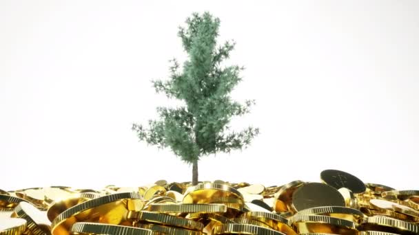 Дерево Золоті Монети Бізнес Фондовий Ринок Білому Тлі — стокове відео