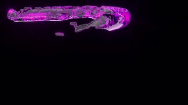 Purple liquid Creative futuristic background neon gradient Fluid art super slow motion 1000 FPS 4k