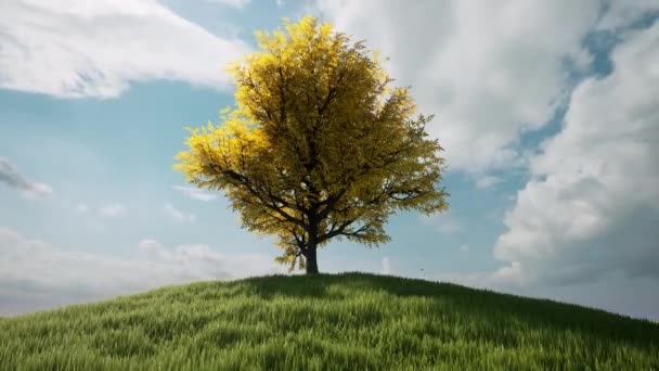 秋1本の木の丘雲の動き自然景観農村部のシーン4K — ストック動画