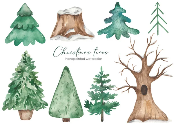 Vánoční Stromky Jedle Dub Pod Sněhem Pařez Akvarel Set — Stock fotografie