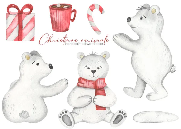 Cute Arctic Polar Bears Gift Lollipop Mug Christmas Animals Watercolor — Stock Photo, Image
