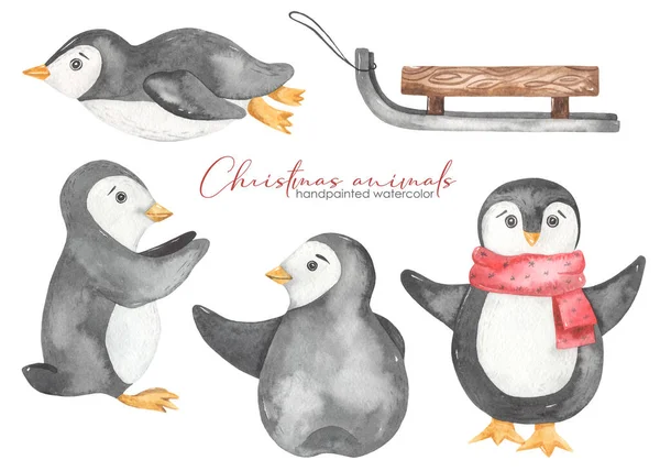 Söta Arktiska Pingviner Släde Jul Djur Akvarell Set — Stockfoto