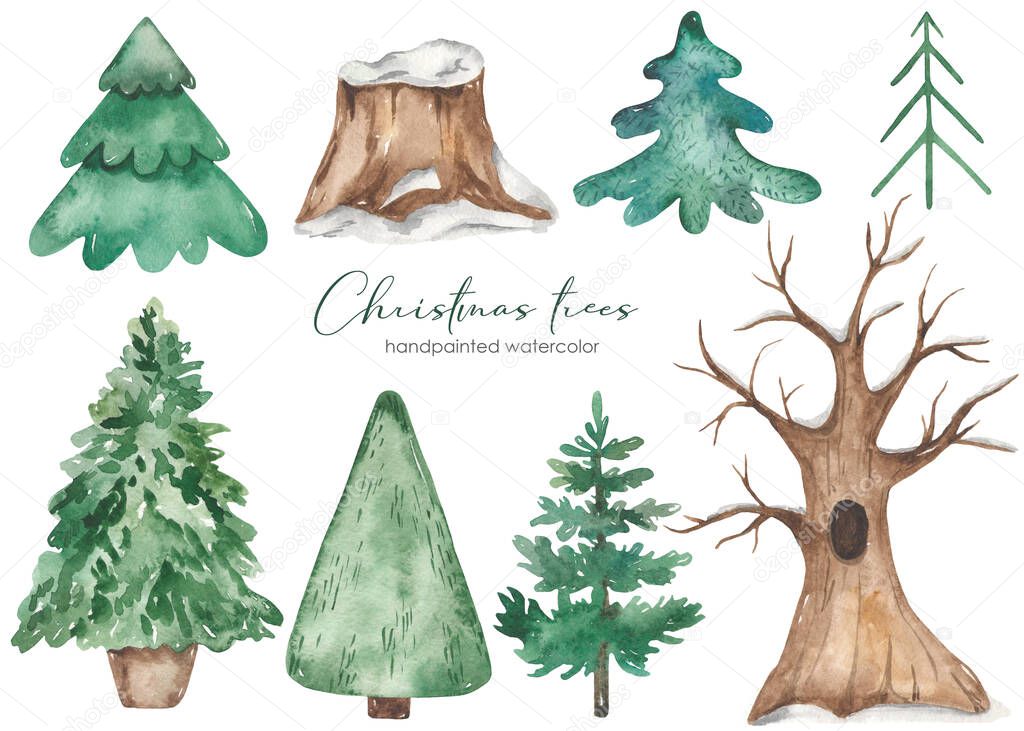 Christmas trees, fir trees, oak under the snow, tree stump Watercolor set 