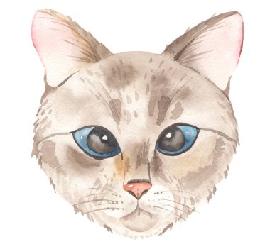 Şirin gri kedi kafası, portre, çocuksu suluboya 