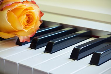 güzel müzik togethe