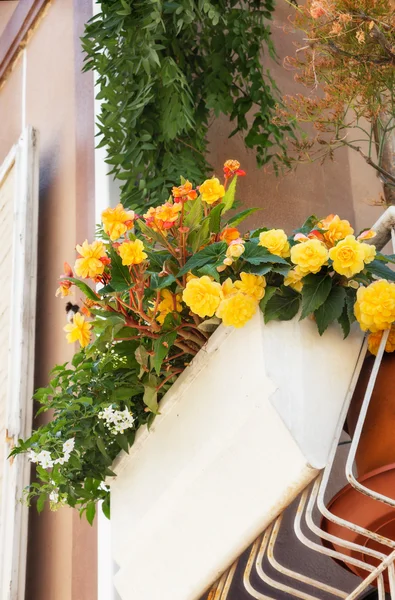 Les fleurs sur le balcon — Photo