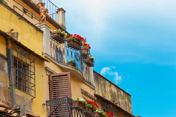 I fiori sul balcone — Foto Stock