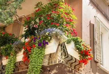 The flowers on the balcony clipart