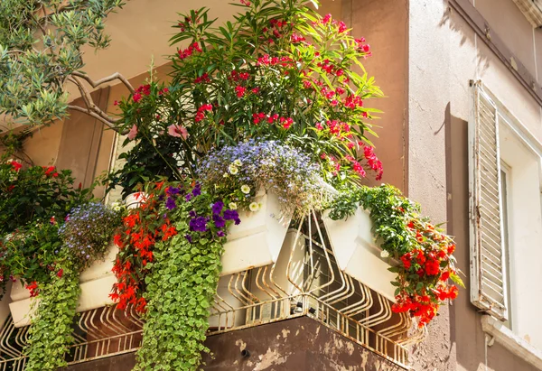 The flowers on the balcony — Stock Photo, Image