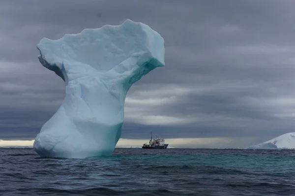 Glace antarctique — Photo