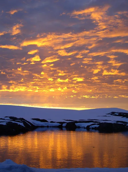 南極大陸 ストック写真