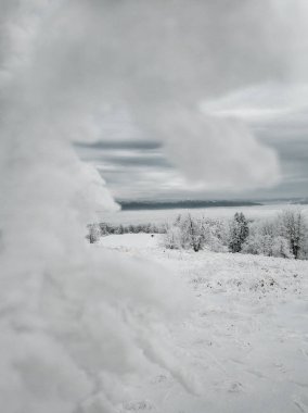 Kış karı uzun beyaz ağaçlarla kaplıydı. Kış zamanı donmuş ve soğuk ormanın ideal manzarası..