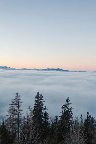 Increíble Inversión Sobre Valle Con Grandes Montañas Nevadas Fondo Niebla —  Fotos de Stock