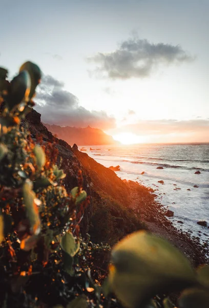 Günbatımında Kuzey Tenerife kıyıları boyunca bahar doğası ve uçurumun güzel manzarası. Kanarya Adaları 'nda önplanda renkli çiçeklerle Atlantik dalgalı okyanusu
