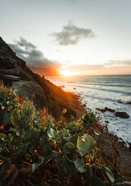 Günbatımında Kuzey Tenerife kıyıları boyunca bahar doğası ve uçurumun güzel manzarası. Kanarya Adaları 'nda önplanda renkli çiçeklerle Atlantik dalgalı okyanusu