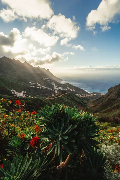 Günbatımında Kuzey Tenerife kıyıları boyunca bahar doğasının ve köyün güzel manzarası. Bulutlu gökyüzü ve Kanarya Adaları 'nda renkli çiçekler.