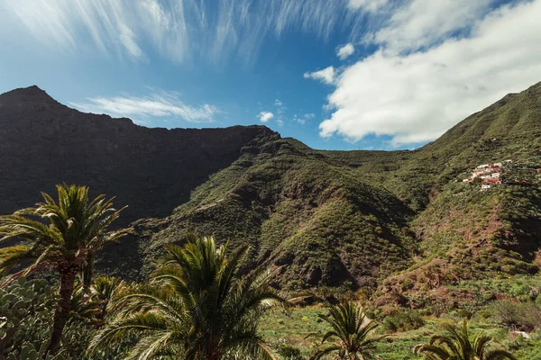 İspanya, Tenerife 'deki güzel Masca köyü. Kanarya Adaları 'nda bulutlu gökyüzü olan palmiye ağaçları ve yeşil tepelerin panoramik manzarası.