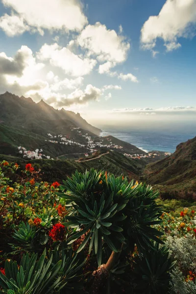 Hermosa Vista Naturaleza Primaveral Pueblo Largo Costa Norte Tenerife Atardecer Fotos de stock