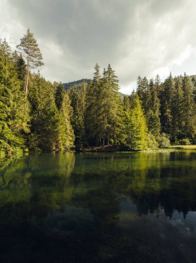 Slovakya 'daki Blajzloch Gölü' nün (Avrupa) güzel manzarası. Gün batımında kristal berrak suyla güzel ve huzurlu yeşil bir göl. Orman gölünde altın saat.