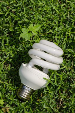 enerji tasarruflu lamba