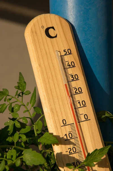 Summer temperature — Stock Photo, Image