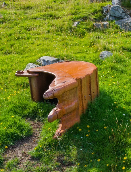 Old excavator shovel lying in the sunlit grass — Stock Photo, Image